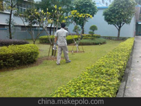 第29屆全國衛(wèi)生殺蟲藥械學術交流會在成都市召開