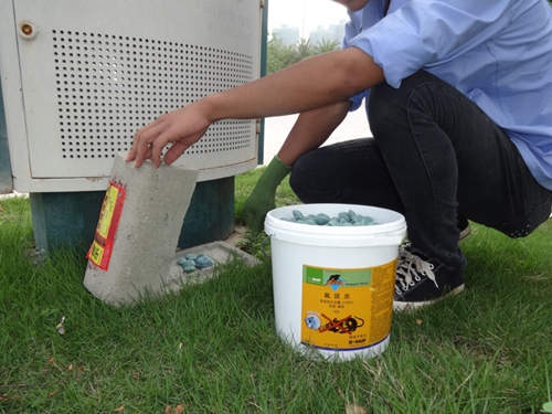 白蟻防治方法有哪些？